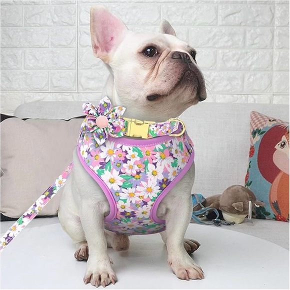 Beirui Cute Girl Dog Collars, Harnesses & Leash Set - Adjustable - Picture 2 of 7